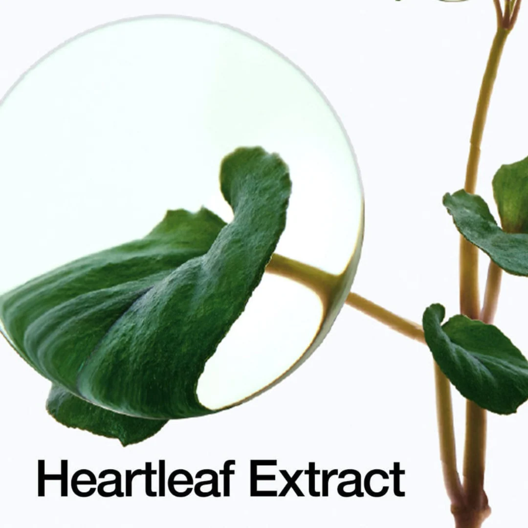 Anua Heartleaf Pore Control Cleansing Oil 200mL - Image 5