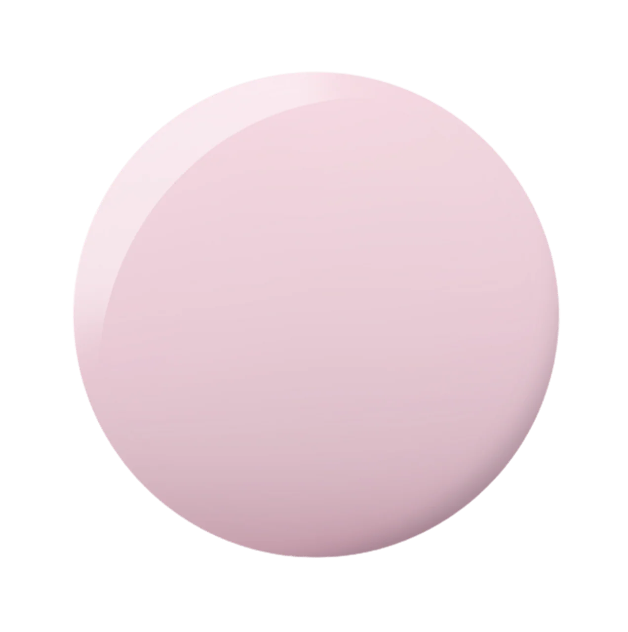 DND DC 2528 On a Whim - Image 2