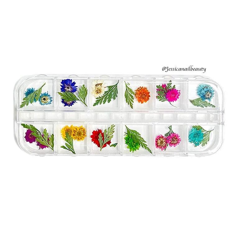 JNBS Nail Art Dried Flower Set 01 ( Box of 12 Colors)