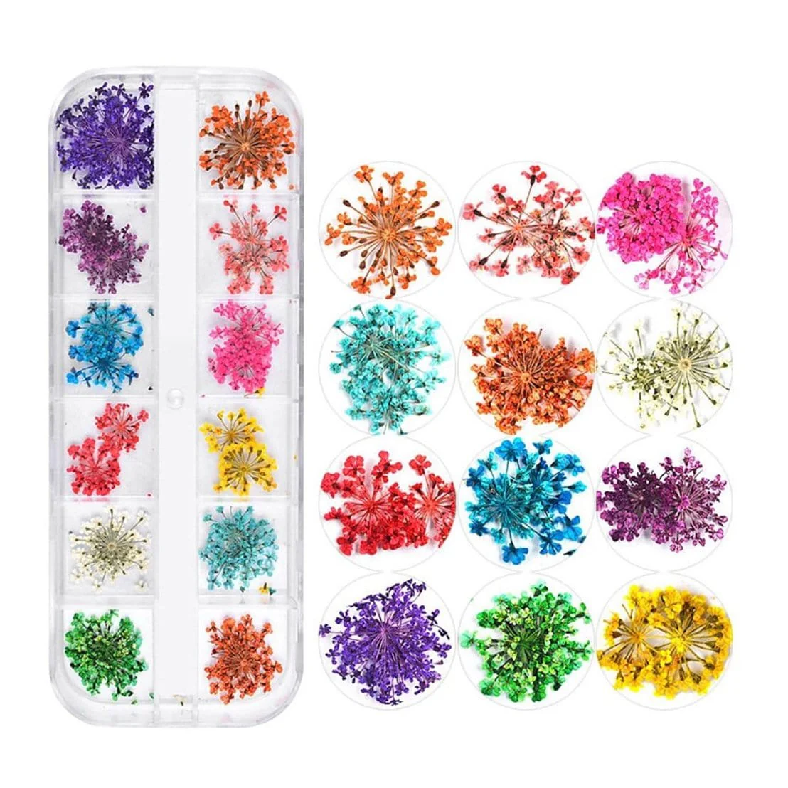 JNBS Nail Art Dried Flower Set 04 ( Box of 12 Colors) - Image 2