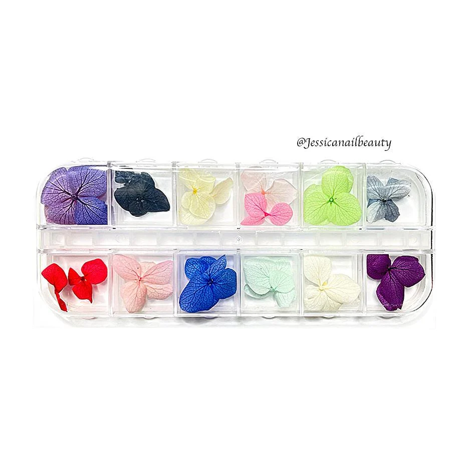 JNBS Nail Art Dried Flower Set 06 ( Box of 12 Colors)