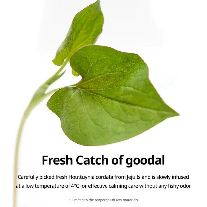 Goodal Heartleaf Calming Moisture Care Sheet Mask - Image 4