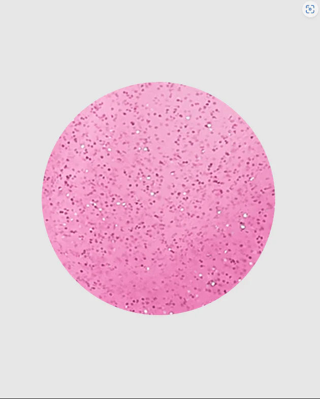 Makartt Gel Nail Extension Gel (30ml) C0822 Ballet Baby - Image 2