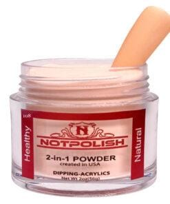 NOTPOLISH 2 In 1 Powder OG 108 Wild Dream - Image 3