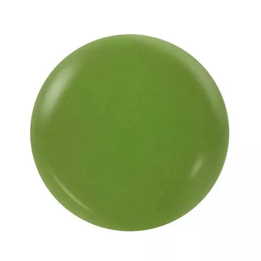 NOTPOLISH Powder M69 Green Envy - Image 4