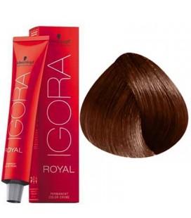 Schwarzkopf Permanent Color Igora Royal 6 - Image 3