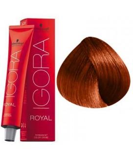 Schwarzkopf Permanent Color Igora Royal 8 - Image 2
