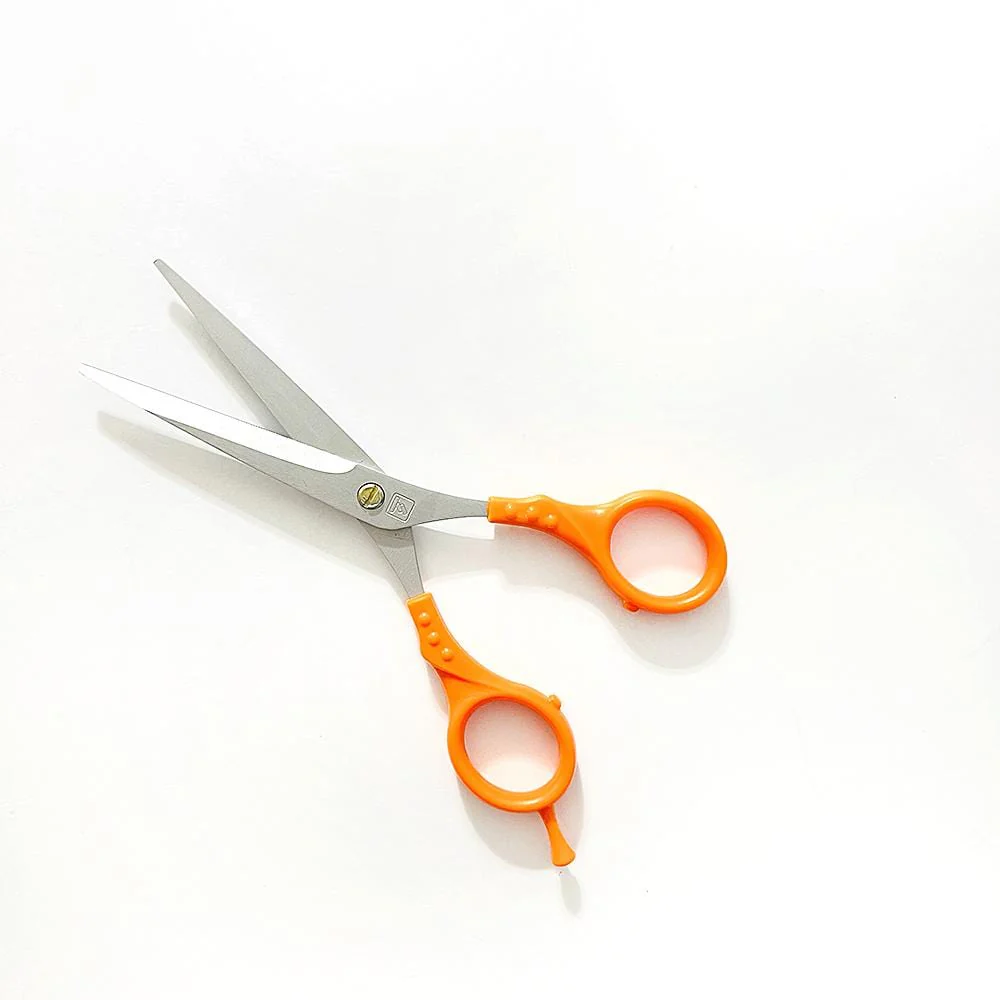 JNBS Scissors S01