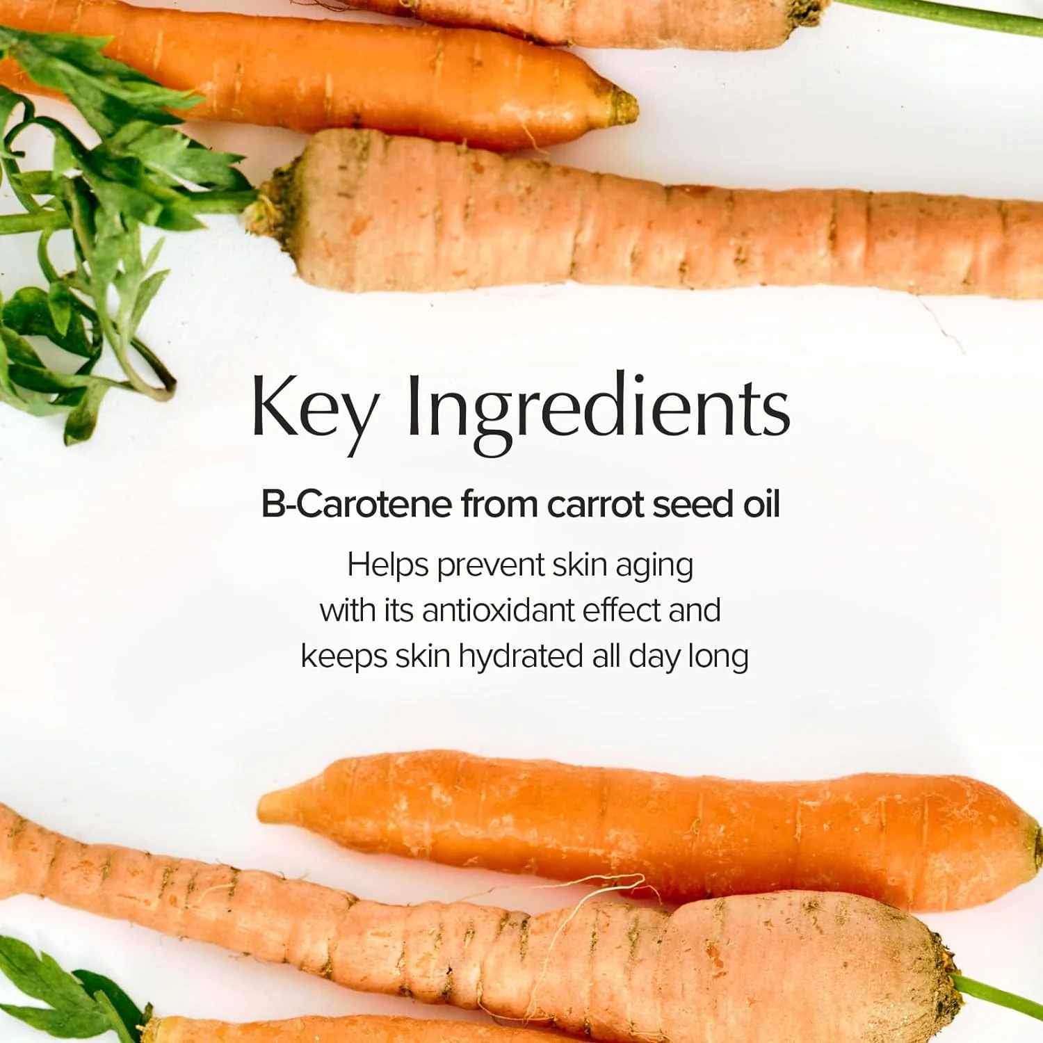 SKINFOOD Carrot Carotene Calming Water Pad 250g (60ea) - Image 3