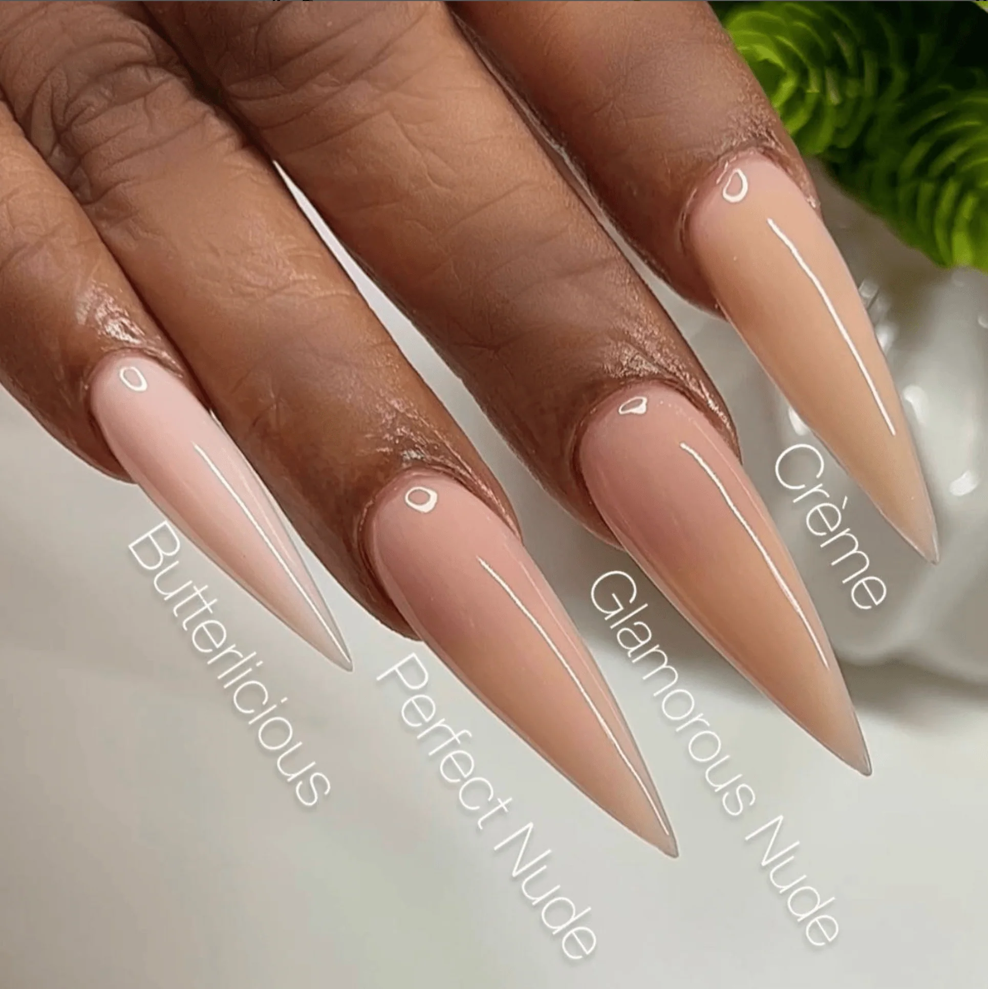 V Beauty Pure Acrylic Powder Perfect Nude - Image 3